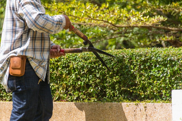Garden Maintenance Elephant & Castle, SE17